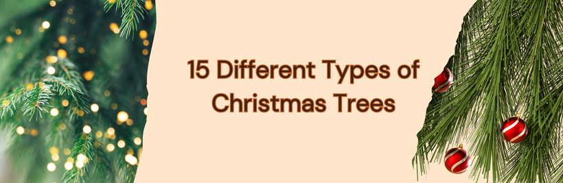 15 Different Types of Christmas Trees (Artificial) 2025