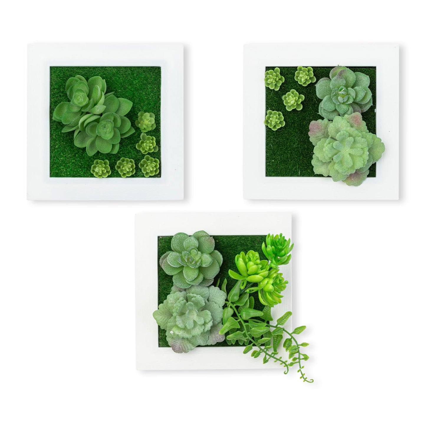 Your Magic Moment Succulent Frame Set 3 pc Succulent Wall Hanging, Succulent Art Wall Decor, Wall Succulents Artificial Wall Hanging Artificial Succulent Plants for Wall