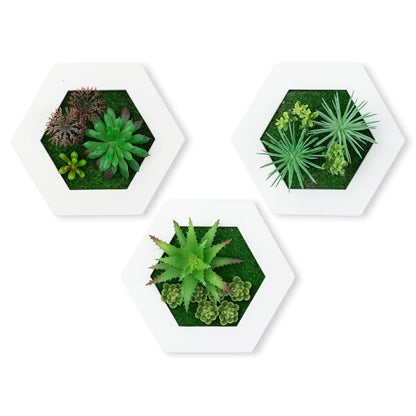 Your Magic Moment Wall Hanging Succulents Plants Artificial in Frame Set of 3 pc Fake Succulents Wall Decor Faux Plants Room Decor Aesthetic Fake Plants Bathroom Decor Artificial Wall Plants Indoor