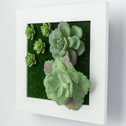 Your Magic Moment Succulent Frame Set 3 pc Succulent Wall Hanging, Succulent Art Wall Decor, Wall Succulents Artificial Wall Hanging Artificial Succulent Plants for Wall