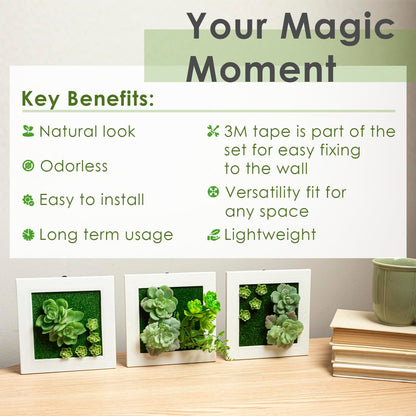 Your Magic Moment Succulent Frame Set 3 pc Succulent Wall Hanging, Succulent Art Wall Decor, Wall Succulents Artificial Wall Hanging Artificial Succulent Plants for Wall