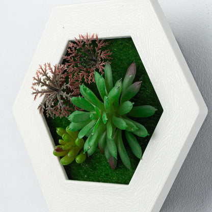 Your Magic Moment Wall Hanging Succulents Plants Artificial in Frame Set of 3 pc Fake Succulents Wall Decor Faux Plants Room Decor Aesthetic Fake Plants Bathroom Decor Artificial Wall Plants Indoor